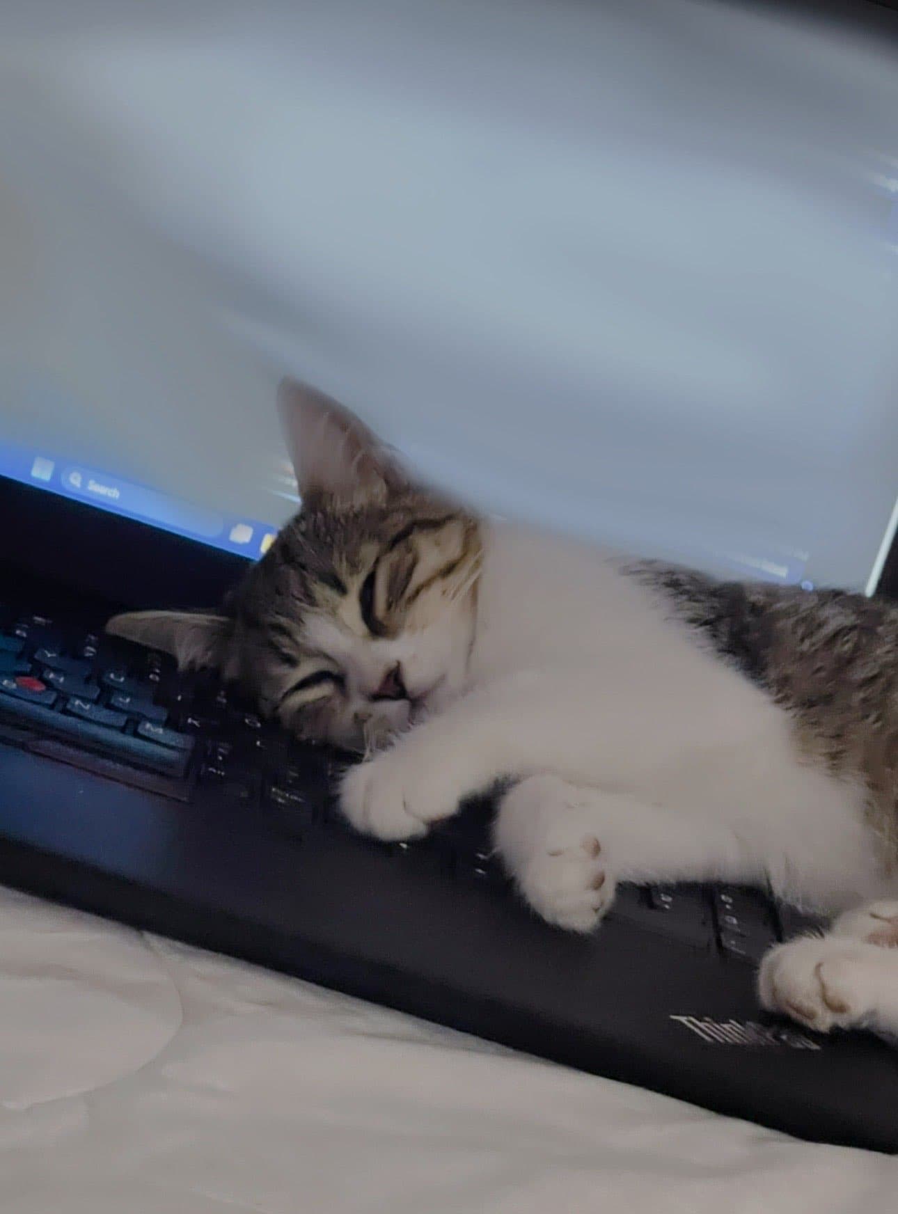 inicio laboral de adri